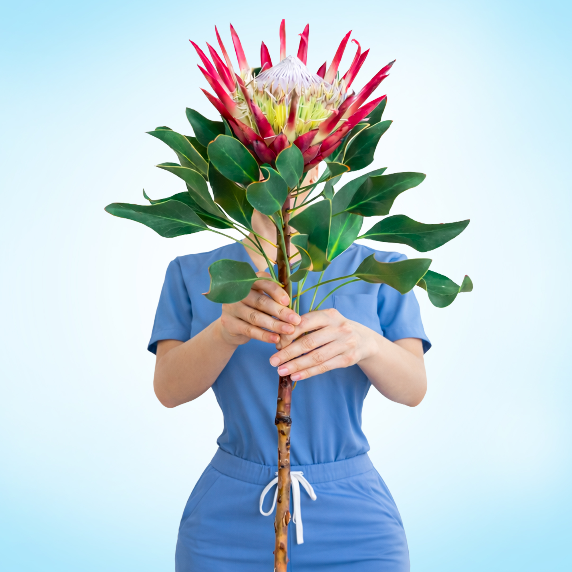 Therapy session illustration